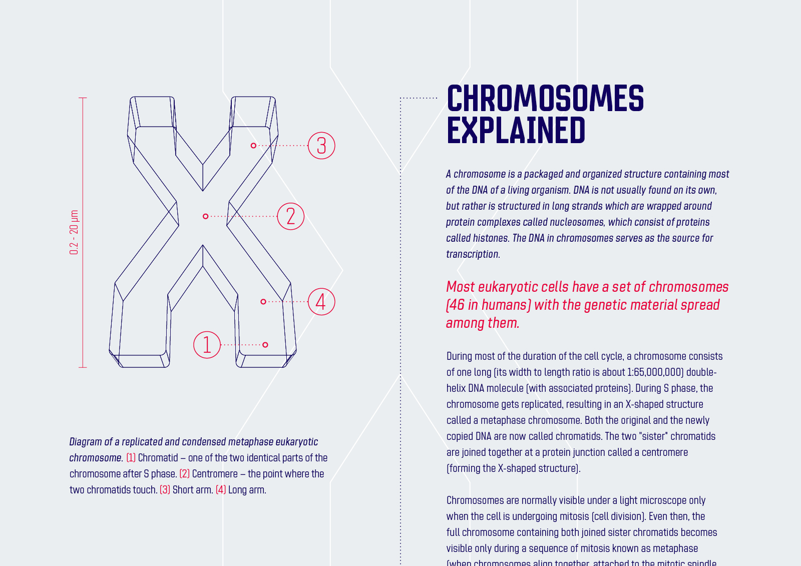 chromoxome-pro_1600px_bw7