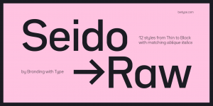 Bw Seido Raw font family